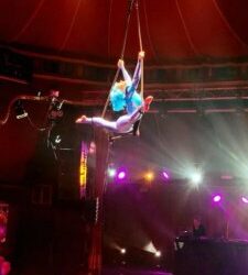 Soirée privée au Cabaret Sauvage