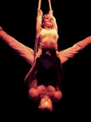 Gala au Pavillon Gabriel des Champs-Elysées à Paris